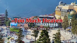 Too Much Heaven - KARAOKE VERSION - in the style of Bee Gees