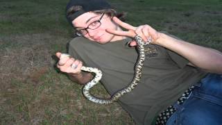 preview picture of video 'HWD 48 Hr Field Herping Competition #9 Slideshow'