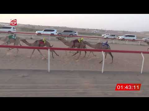  ش 7 (الشاهينيه) لـ حمد سعيد بالطير العامري 3:11 ، شارة صندوق الحلفه 2026/07/26 فطامين الجبيب