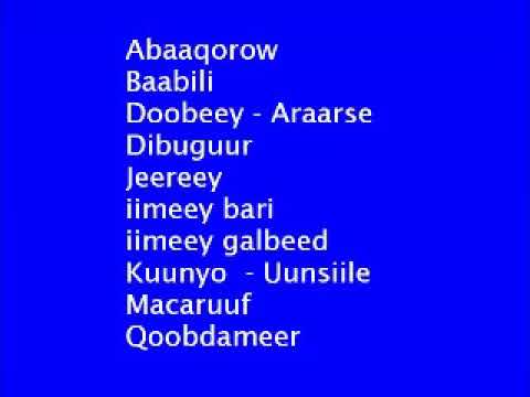 Talisyahow wareersani - Hees wadani ah