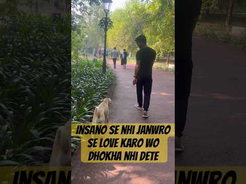 #dog #food #friendship