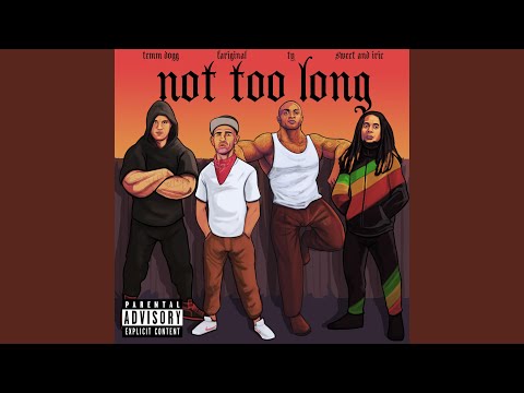 Not Too Long (feat. TY, Temm Dogg & Sweet & Irie)