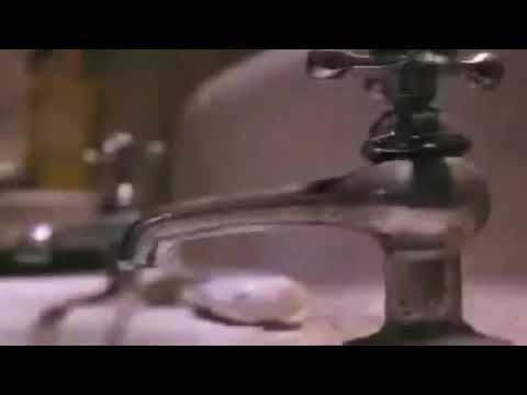 Roaches - Bobby Jimmy & The Critters 1986