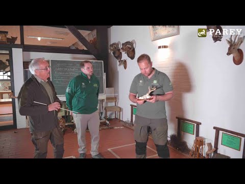 Parey Jagdausbildung - Prüfungssimulation Teil 4 Schalenwild
