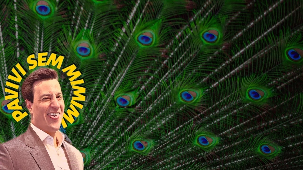 PAVIVI SEM MIMIMI | Live URGENTE 🚨