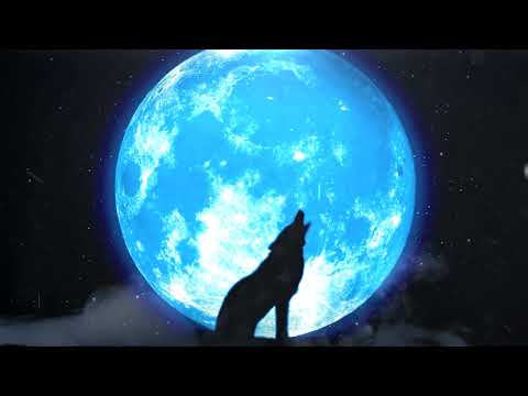 Fiitu - O Lobo e a Lua 🐺🌕