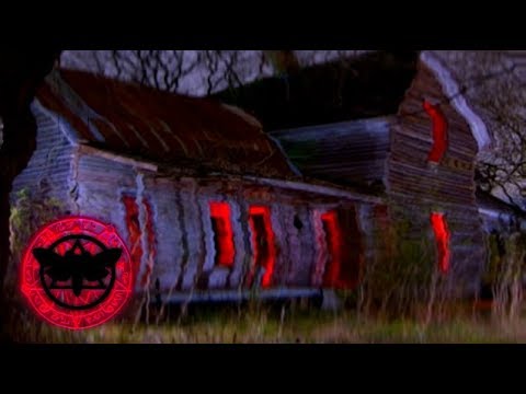 ✚ DEAD FETUS - Pulse