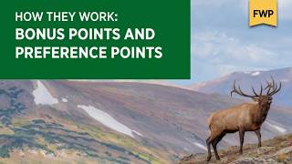 How Bonus Points and Preference Points Work