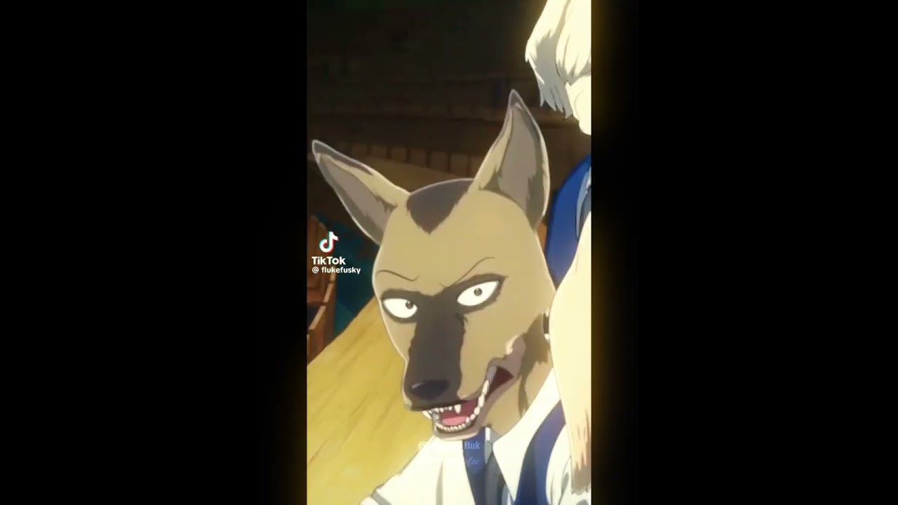 edit de durham #beastars