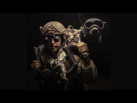 K9 - "Good Boy" ► Special Unit ᴴᴰ