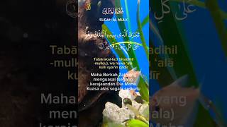 Download lagu Surah Al Mulk Bacaan Merdu &Terjemahan #shorts #almulk mp3 Download lagu Surah Al Mulk Bacaan Merdu &Terjemahan #shorts #almulk mp3