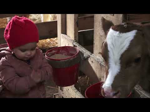 Agro karavan ep.163 - Srbac - 14.02.2021.