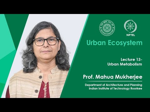Lecture 13: Urban Metabolism