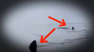 5 Megalodon Caught on Camera & Spotted In Real Life! #2
