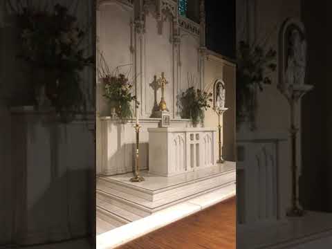 Pastorale on Lumen ad Revelationem Gentium by Henri Nibelle