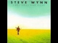 Steve Wynn In Love With Everyone.wmv