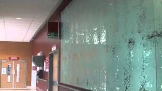 Hawthorn Hall of Mirrors (454308E - 205690N)