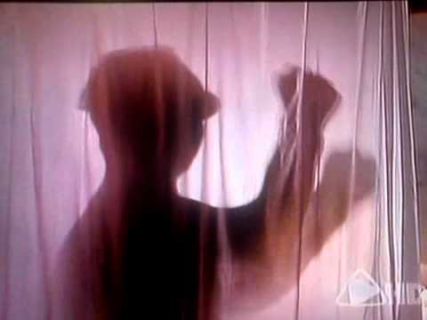 A ese gato loco le patina el coco