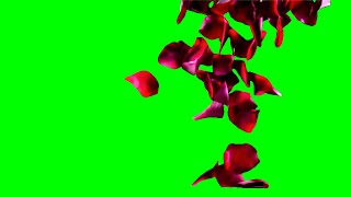Download lagu Falling Rose Petals – Free Romantic Green Screen VFX mp3