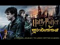 Harry Potter පුරාවෘත්තය Harry Potter Full Review