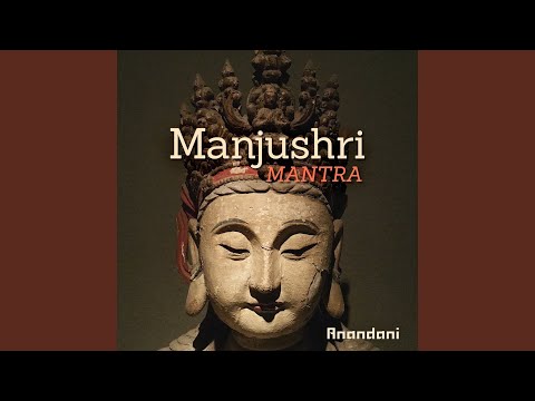 Yang-Qin Music (Spa)