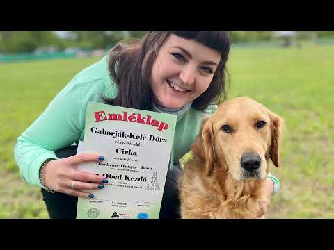 Obedience kezdő szintű vizsga - Cirka