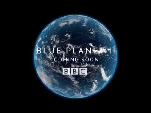 Blue Planet II  Official Trailer