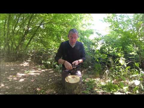 How to light fat wood with a fire steel