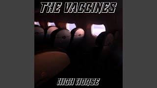 High Horse Music Video