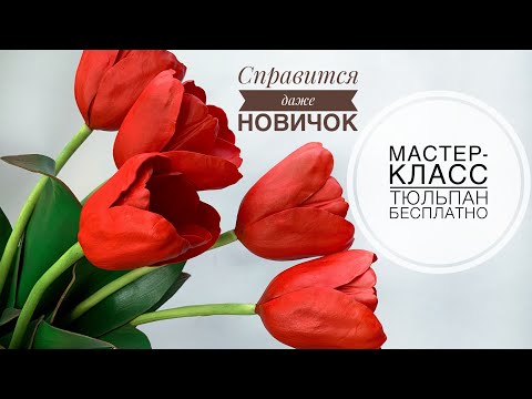 Мастер-класс тюльпан из фоамирана.