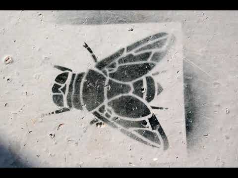 Maestro WNL - Flaj (prod. Chillbone)