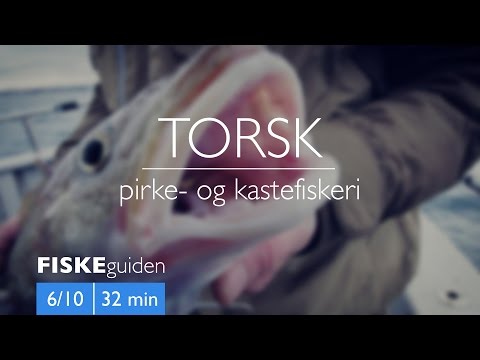 Torskefiskeri med Gordon P. Henriksen