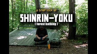 A brief look at Shinrin-Yoku (Forest Bathing)