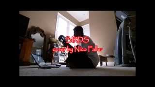 Neil Young - BIRDS (with Lyrics) cover by Nico Faller
