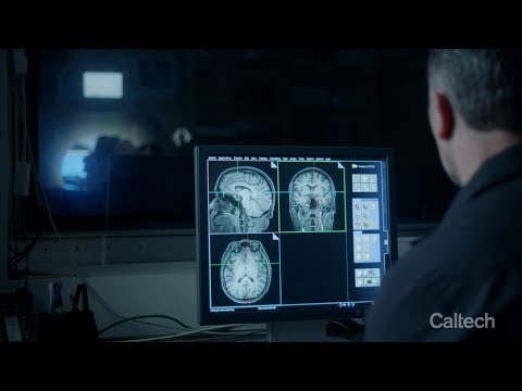 The Caltech Effect: This Is Your Brain on Fear