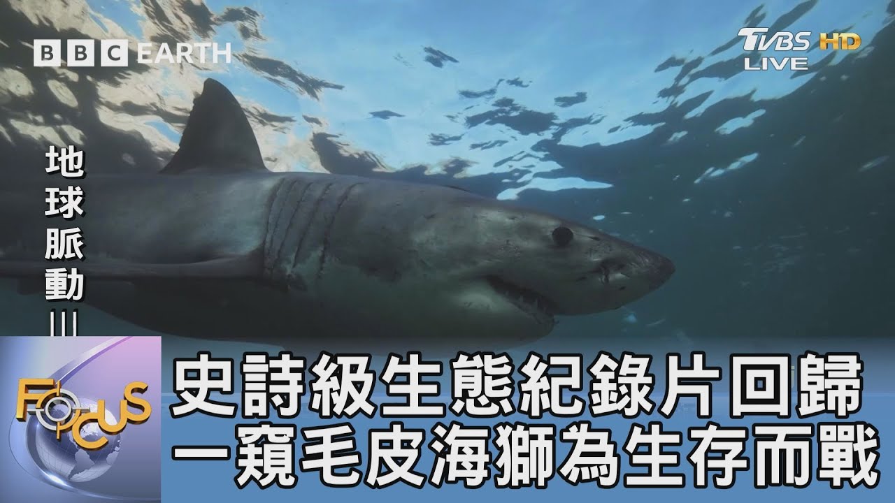 TVBS與BBC Earth獨家合作 呈現史詩級生態紀錄片
