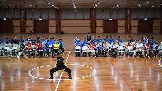 中國武學會 台北武風大會演出-2