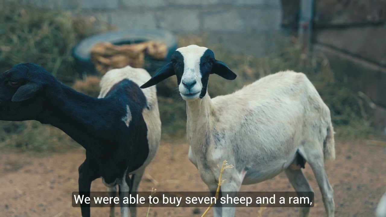 A New Beginning Through CARE’s Food-for-Training Prgram in Lahj Governorate. Susan's Final Video