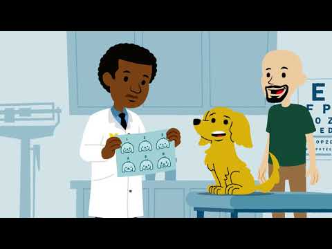 For Kids 8-12 Years Old: What is Pain?