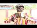 OWUO MPE SIKA 3 Latest 2017 Ghanaian Asante Akan Twi s
