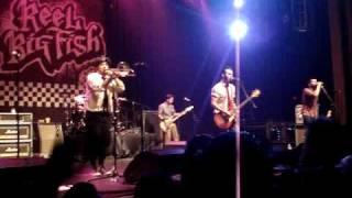 Reel Big Fish - Skatanic