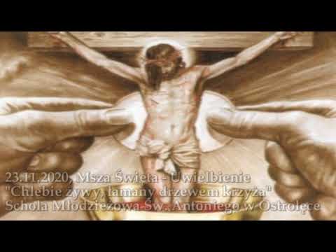 Chlebie żywy łamany drzewem krzyża (Msza Św. 23.11.2020) Schola Młodzieżowa Św Antoniego w Ostrołęce