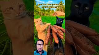 Download lagu Oyen dan jliteng berhasil nanam singkong#shortsvideo mp3