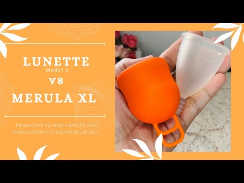 LUNETTE Model 2 vs MERULA XL : Squish Comparison