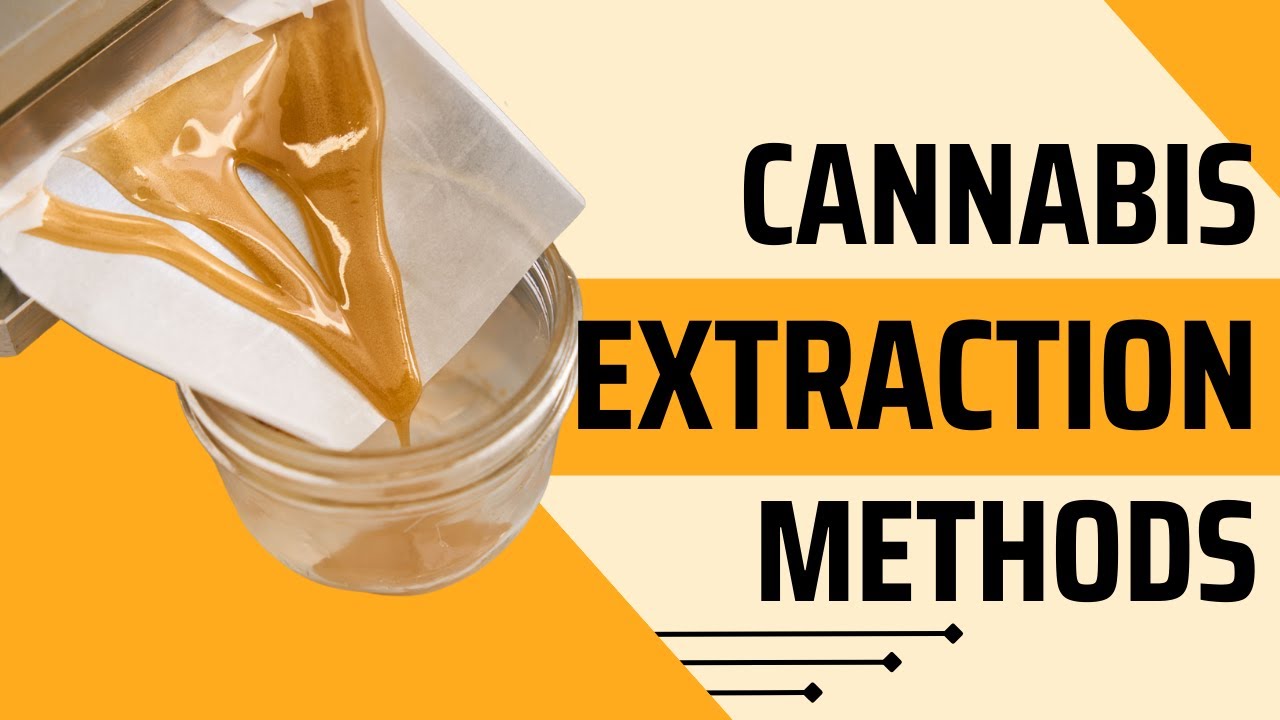 Cannabis Extraction Methods and Concentrates | #cannabiseducation #cannabispodcast