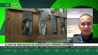 Miniatura do vídeo
