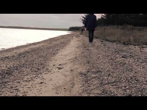 Maeckes - Wir trinken das Meer leer (Official Version)