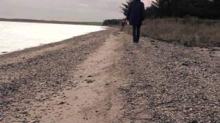 Maeckes - Wir trinken das Meer leer (Official Version)