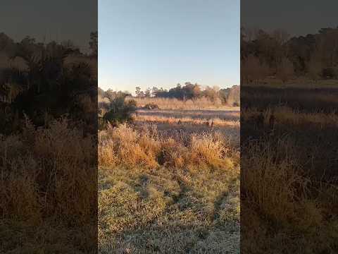 Temperaturas bajo cero en La Criolla, Entre Rios #entrerios #olapolar #argentina