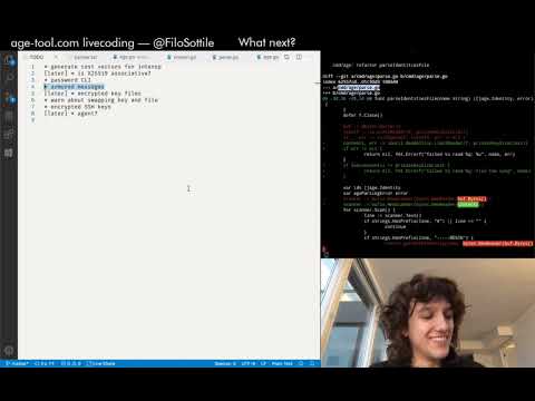 Livecoding age in Go on Twitch — Session 4